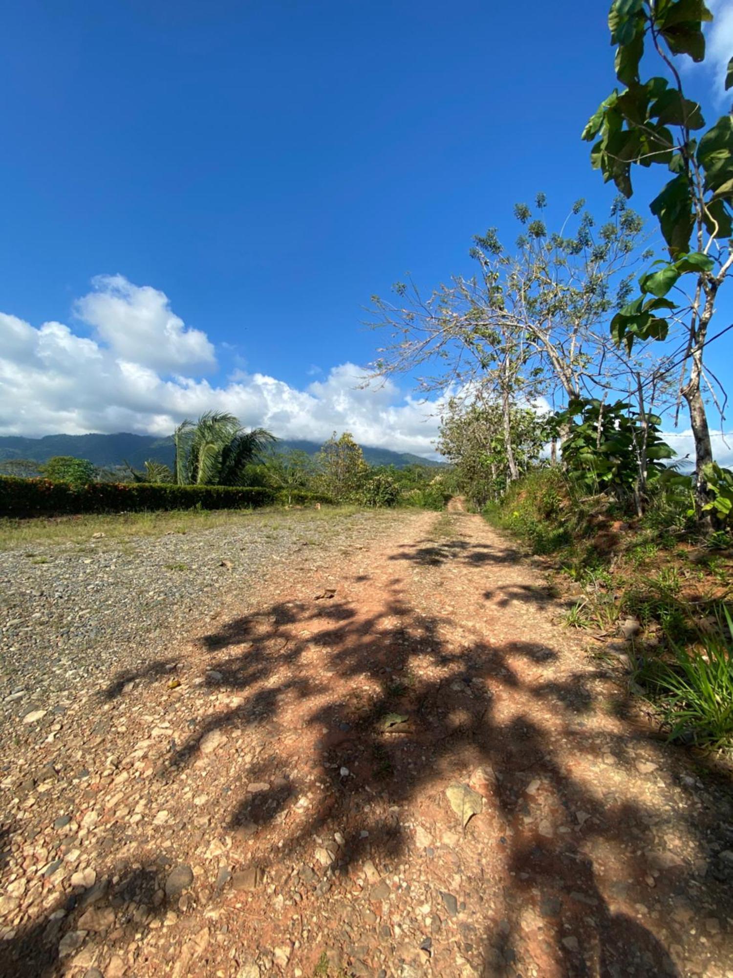 Valles Of Osa Palmar Sur Exterior photo
